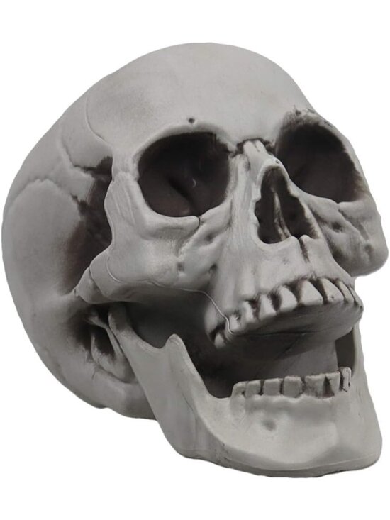 Other - 🎃Halloween Decor Graveyard Life Size Skeleton Skull Lightweight Outdoor White